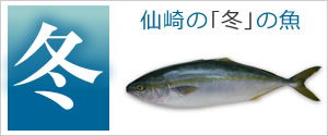 仙崎の冬の魚