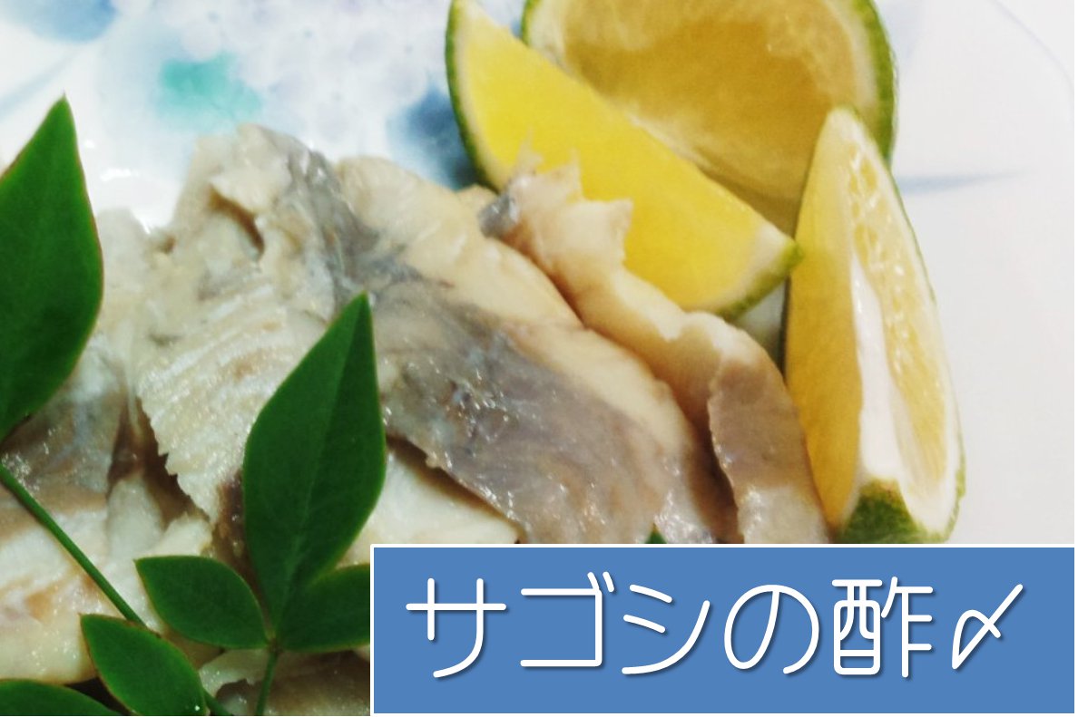 サゴシの酢〆 第１回ながと食のワークショップ 海幸仙崎 公式ホームページ